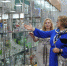Сербы в музее… - Газета Знамя труда