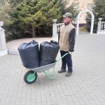 субботник