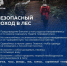 Советы по безопасному походу в лес - Никольский район