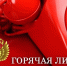 В Прокуратуре Никольского района работает "горячая линия" по вопросам профилактики мошенничества - Никольский район