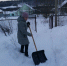 Сотрудники Комплексного центра помогают в расчистке снега - Никольский район