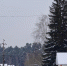 Прогнозируется аномально холодная погода - Никольский район