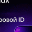 Многодетные семьи, пенсионеры и люди с инвалидностью в Пензенской области могут получить цифровое удостоверение в мессенджере МАХ - Никольский район